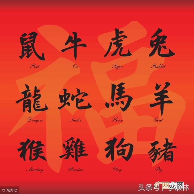 什么八字可学奇门遁甲 奇门测创业