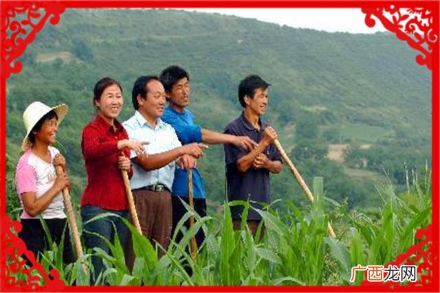 3158创业项目办小厂 农村创业好项目办小厂干什么好-