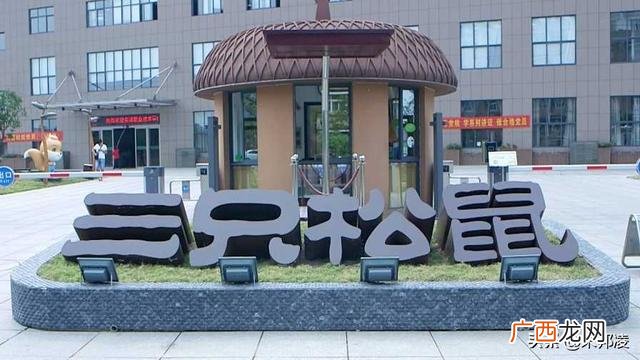 创业成功案例故事,傻子创业成功的案例