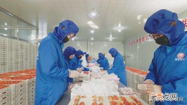 丹东最火的生意 丹东创业