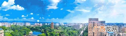 巴渝巾帼创业创新,巾帼创业就业圆梦行动