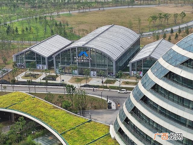 少儿篮球加盟哪个品牌好,北京少儿篮球运动馆加盟