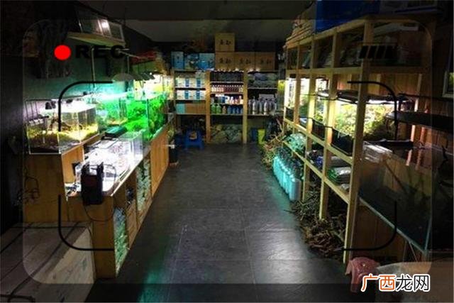 开一家格子铺店赚钱吗 创业打铁铺赚钱吗