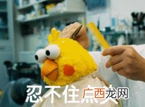 上海旧衣服回收市场在哪里 上海哪里有回收旧衣服的