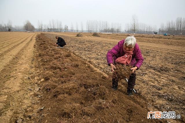 农村什么机器最实用,农村买什么机器赚钱