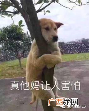 大学生创业微信群 上海创业群