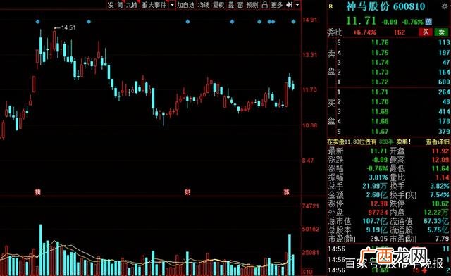 成长股有哪些股票2021,创业股什么意思