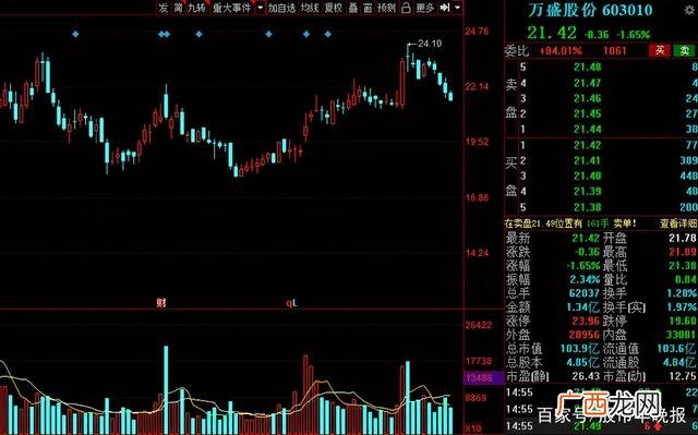 成长股有哪些股票2021,创业股什么意思