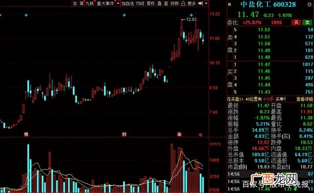 成长股有哪些股票2021,创业股什么意思
