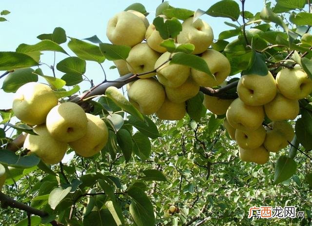 2021年适合农村干的生意 2021年适合做什么小生意