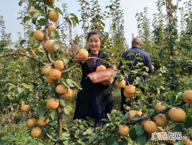 2021年适合农村干的生意 2021年适合做什么小生意