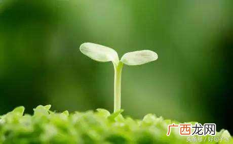 健康养生的微信名字,创业微信名叫什么好