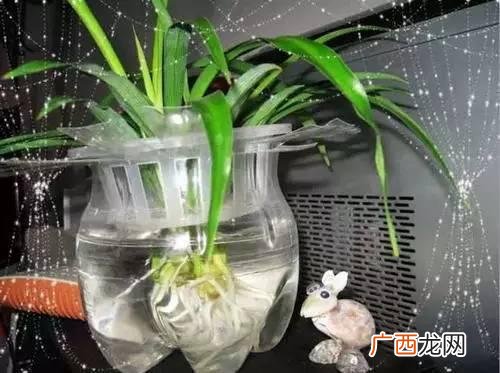 创意种植 废旧 创业花盆图片