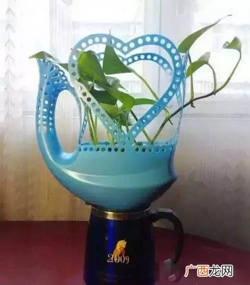 创意种植 废旧 创业花盆图片
