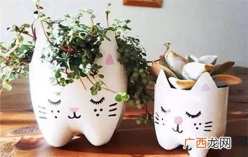 创意种植 废旧 创业花盆图片