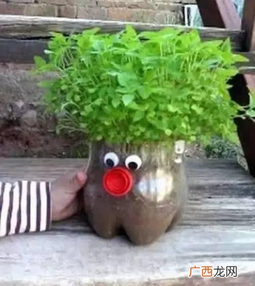创意种植 废旧 创业花盆图片