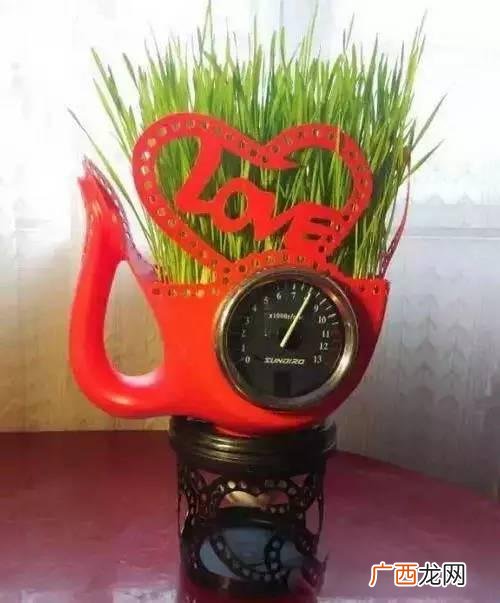 创意种植 废旧 创业花盆图片