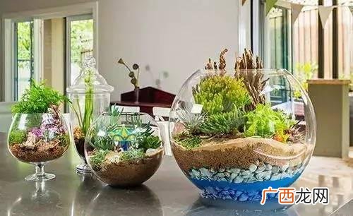 创意种植 废旧 创业花盆图片