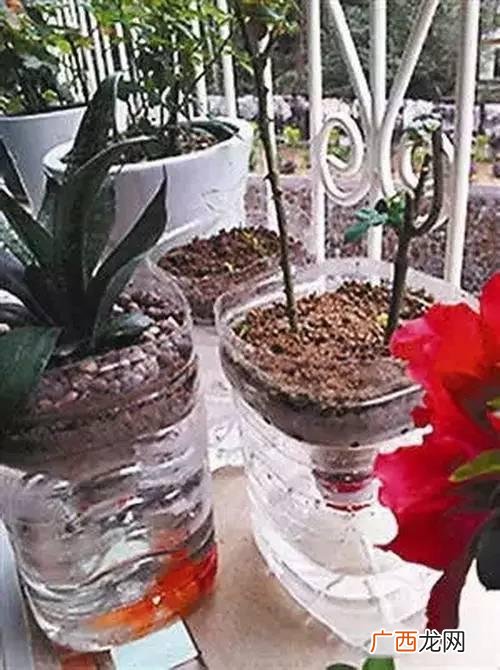 创意种植 废旧 创业花盆图片
