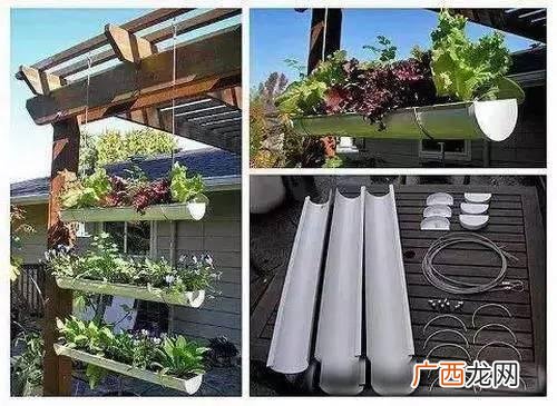 创意种植 废旧 创业花盆图片