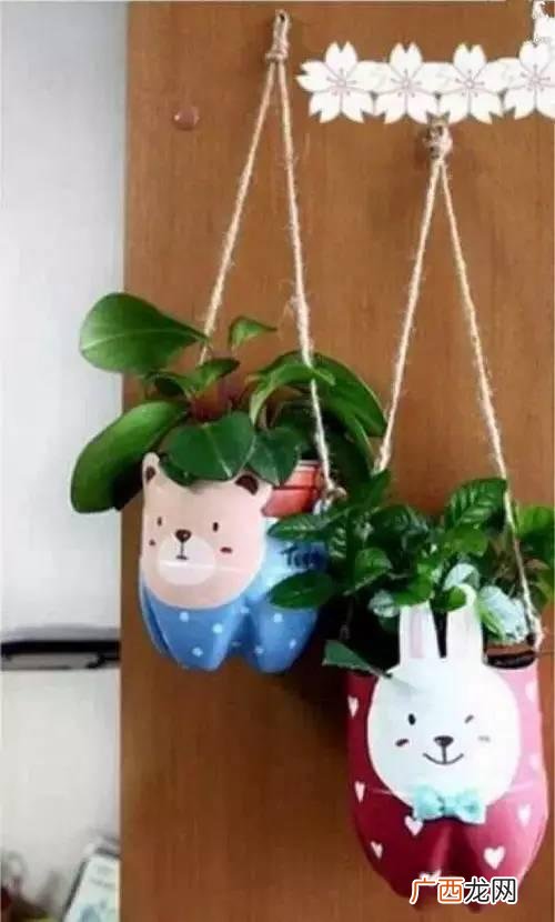 创意种植 废旧 创业花盆图片