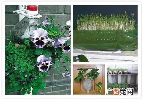 创意种植 废旧 创业花盆图片