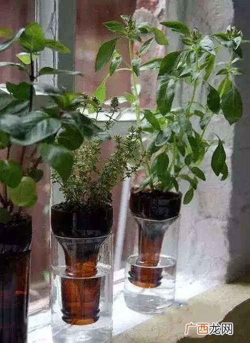 创意种植 废旧 创业花盆图片