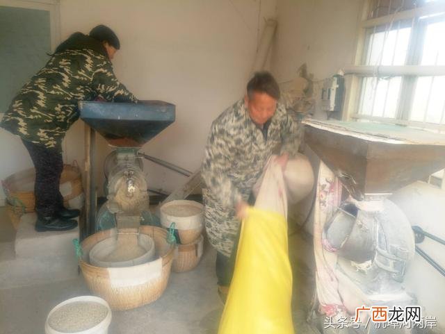 农村小型大米加工厂 粮食加工企业