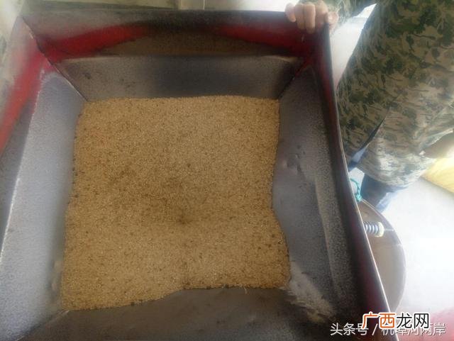 农村小型大米加工厂 粮食加工企业