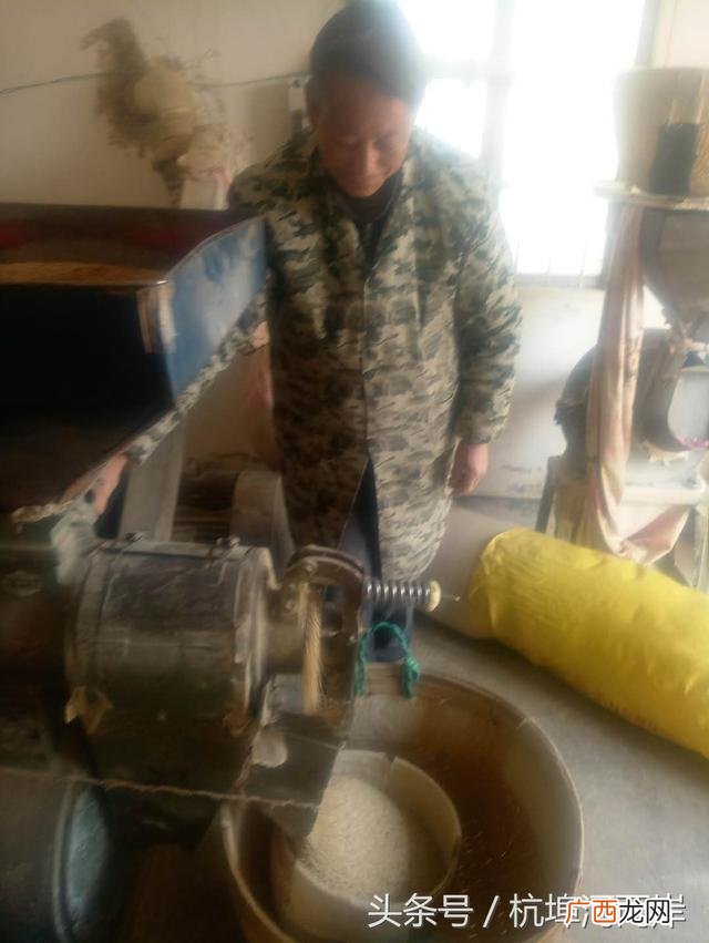 农村小型大米加工厂 粮食加工企业