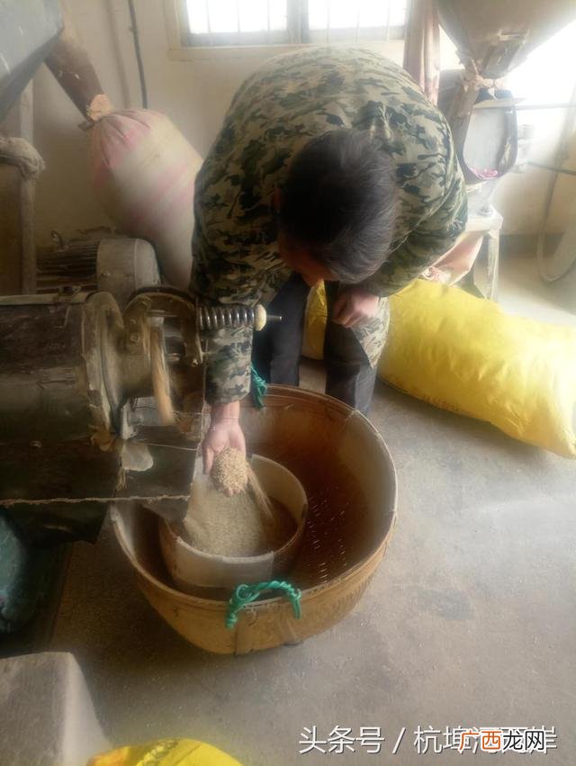 农村小型大米加工厂 粮食加工企业