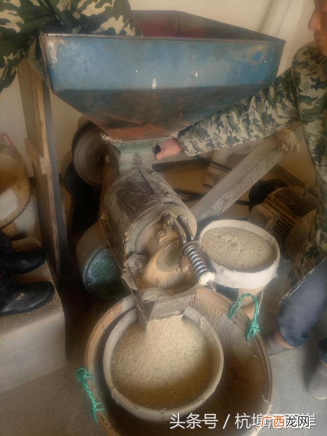 农村小型大米加工厂 粮食加工企业