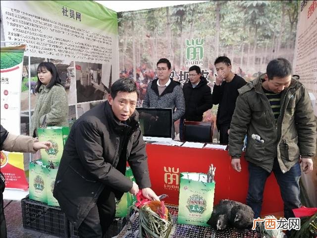 syb民宿创业计划书模板,syb创业计划书模板