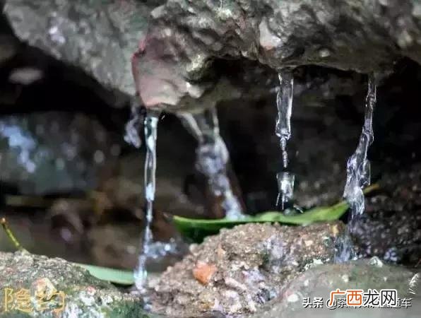 小砾,砾哥创业部落
