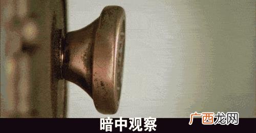 创业时代杨颖走路 创业时代杨颖
