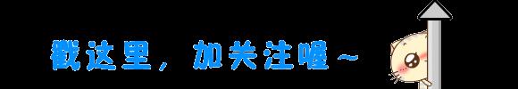 建筑装饰工程技术专业 工程建筑管理专业