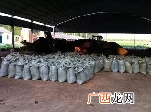 免费农村小加工作坊 免费手工拿回家做
