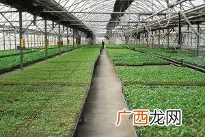 免费农村小加工作坊 免费手工拿回家做
