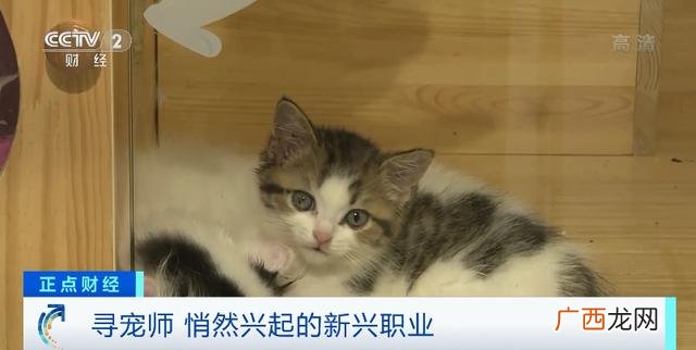 悬赏猫赚钱安全吗 悬赏猫赚钱是真的吗-安全吗
