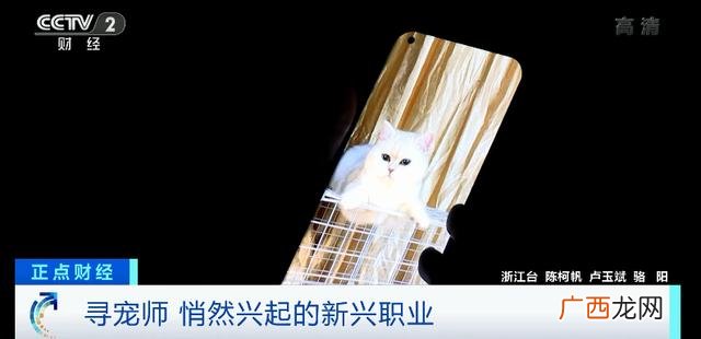 悬赏猫赚钱安全吗 悬赏猫赚钱是真的吗-安全吗