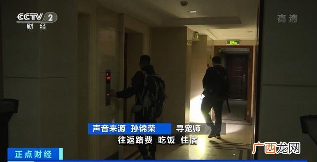 悬赏猫赚钱安全吗 悬赏猫赚钱是真的吗-安全吗