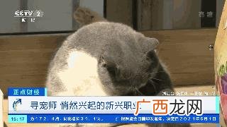悬赏猫赚钱安全吗 悬赏猫赚钱是真的吗-安全吗