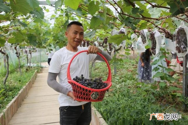 农村创业,回乡创业怎么表述