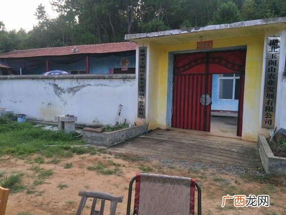寻求合作伙伴怎么写 寻求企业合作伙伴范文