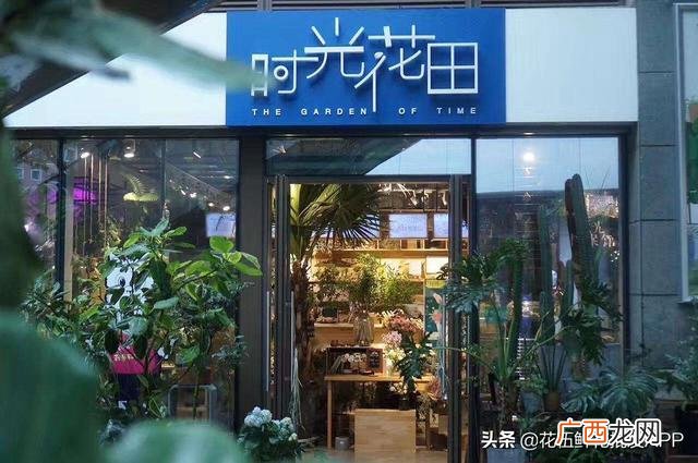 小型花店创业计划书 花卉创业目的