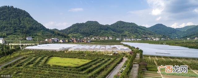 园林绿化工程施工技术规范,园林绿化工程施工及验收规范