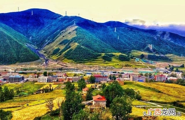 加盟周黑鸭连锁店官网,超浔黑鸭加盟怎么样