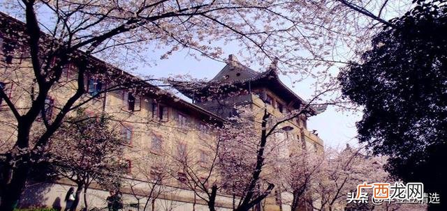 加盟周黑鸭连锁店官网,超浔黑鸭加盟怎么样