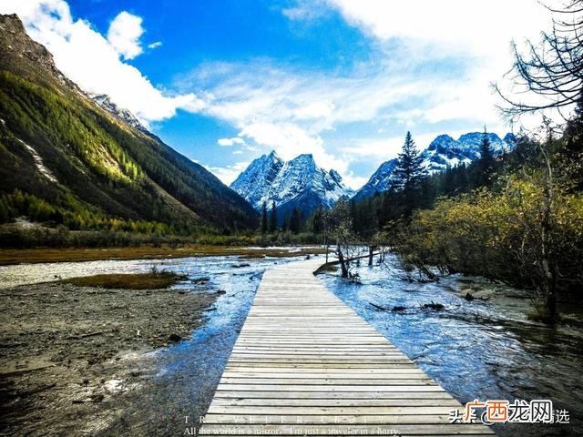 加盟周黑鸭连锁店官网,超浔黑鸭加盟怎么样