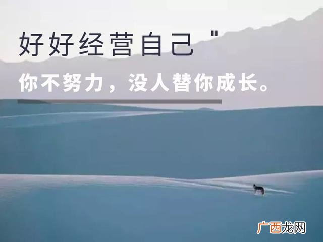 我想创业没钱没经验 创业新相目